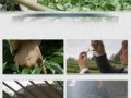 茶叶爆料视频素材大全,视频素材大全带你领略茶香世界